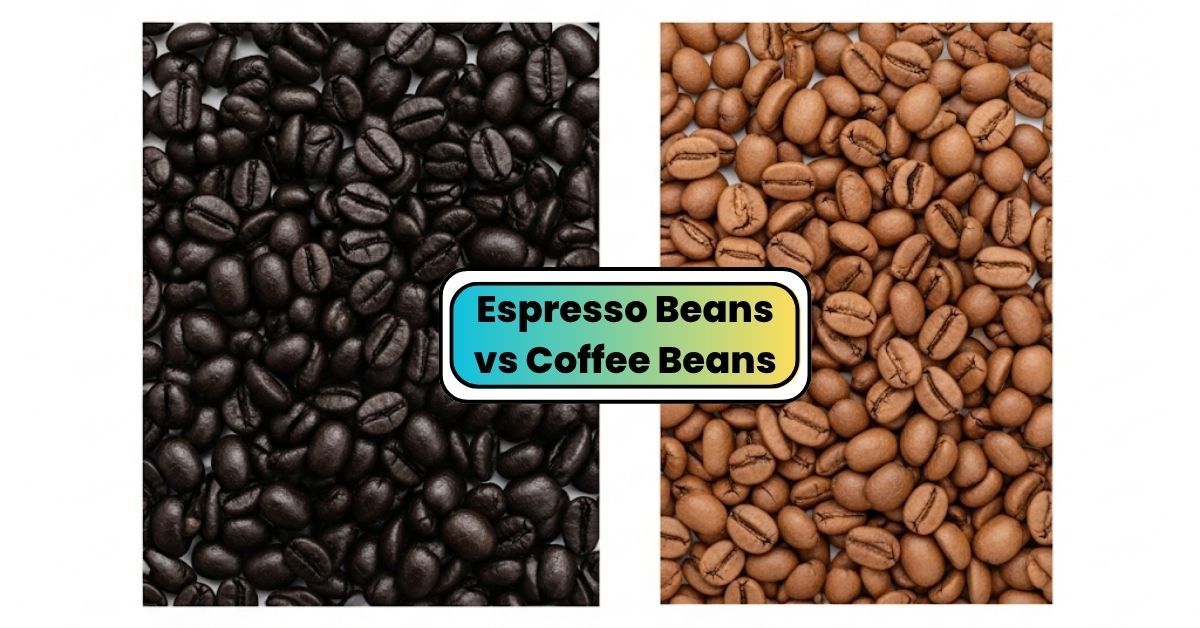 espresso beans vs coffee beans
